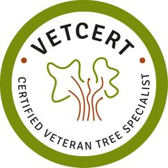 Certifierad veteran träspecialist