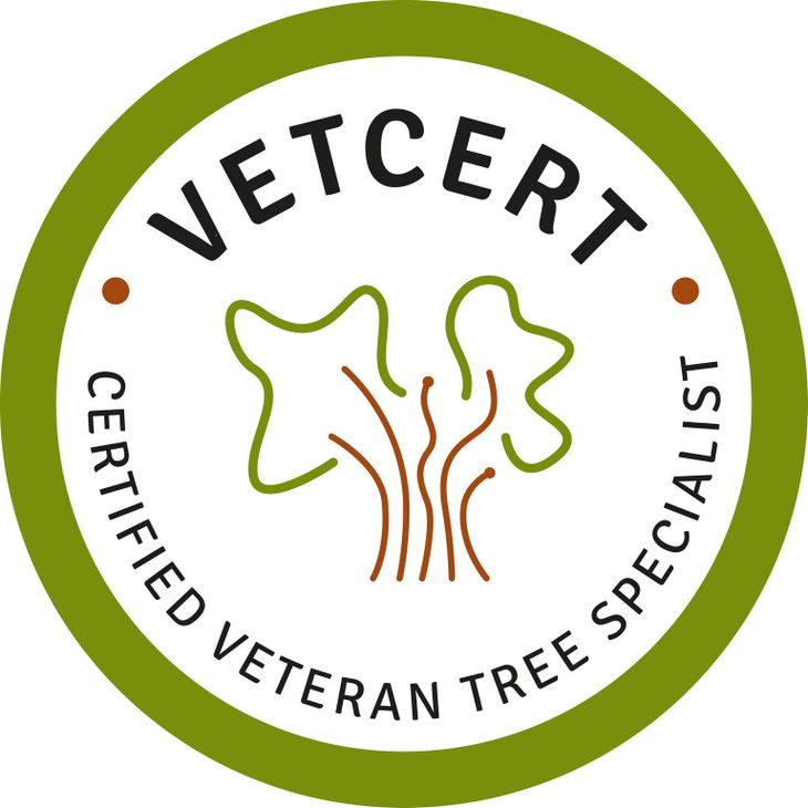 Certifierad veteran träspecialist