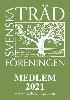 Svenska träd föreningen 