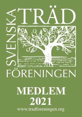 Svenska träd föreningen 